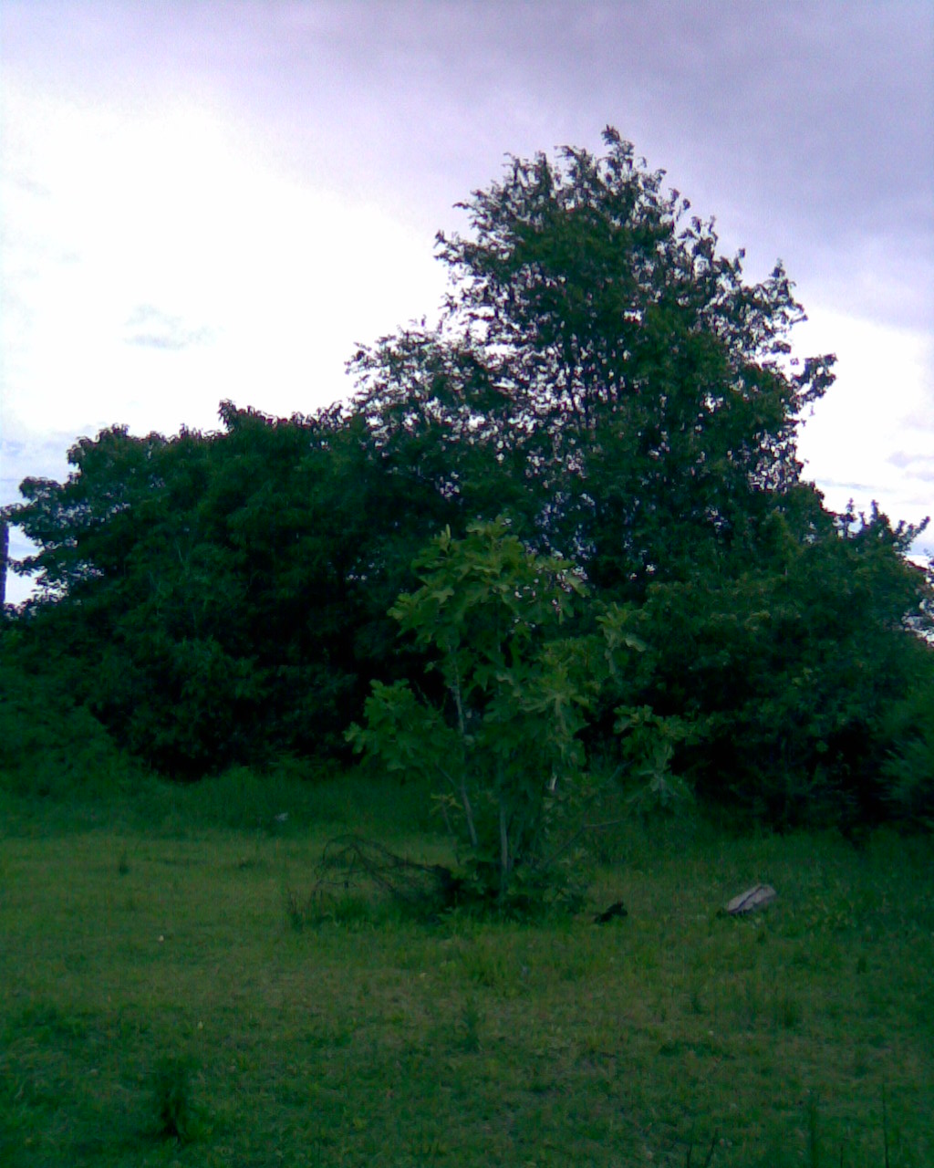 fotos/2006-12-10 - Ranchito de la Obligado/casa (3).jpg